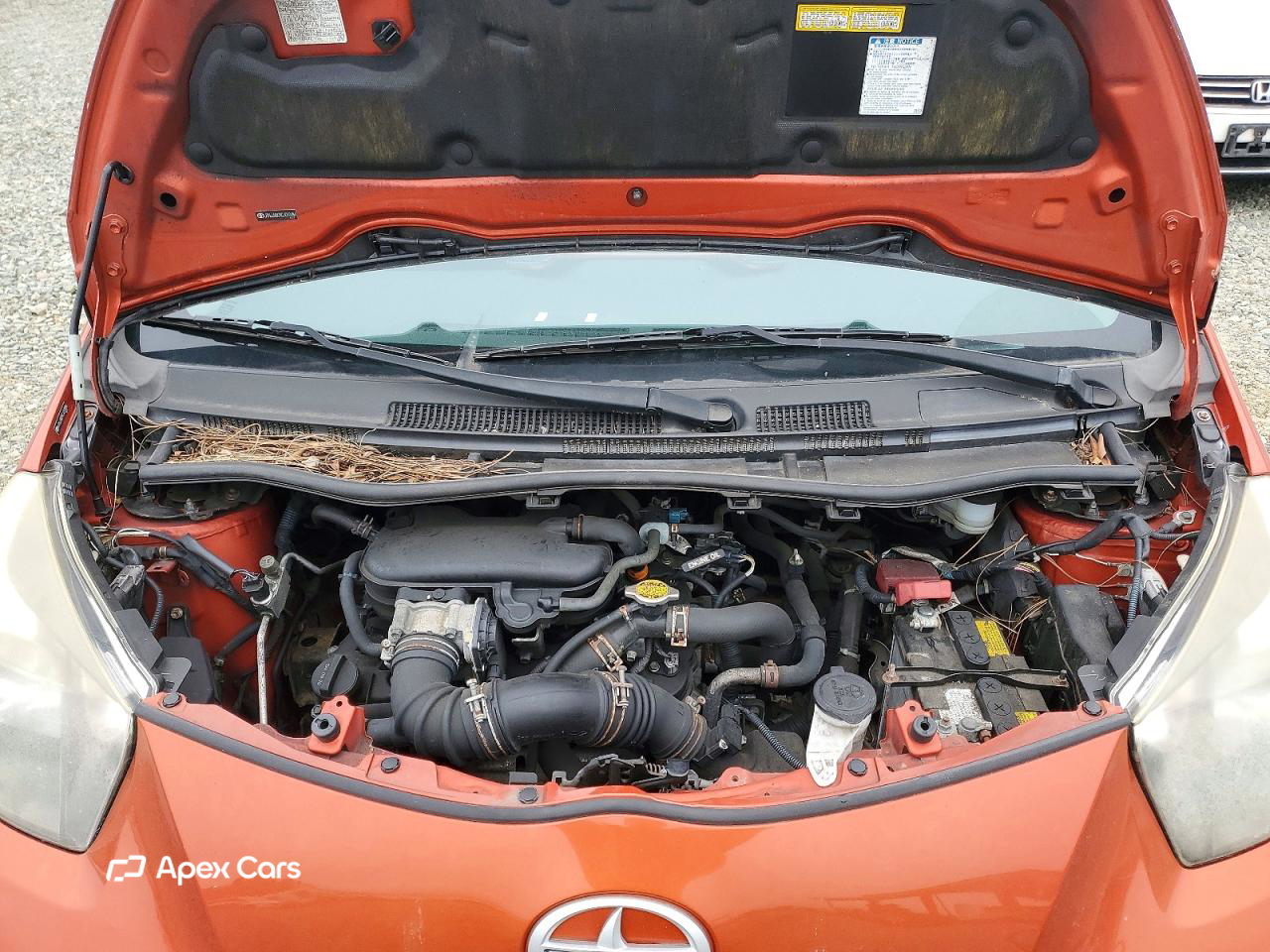 Scion iQ 2012
