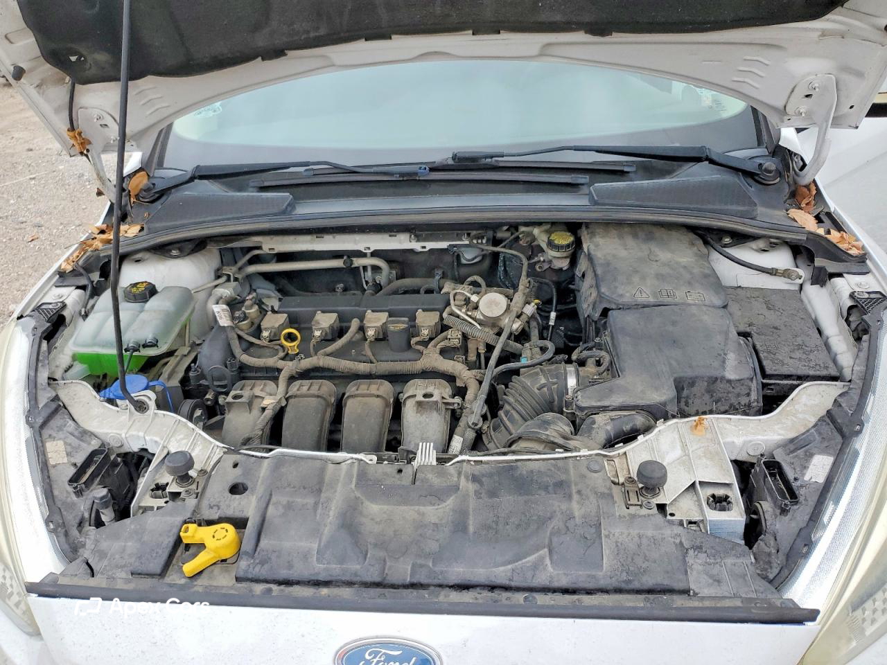 Ford Focus 2016