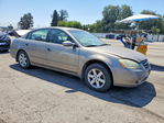Nissan Altima 2004