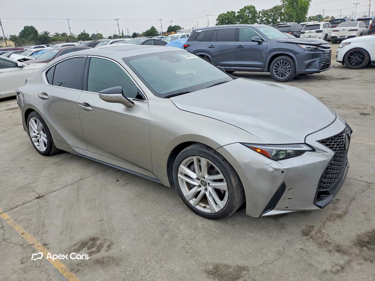 Lexus IS 2023