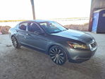 Honda Accord 2010