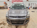 Ford Escape 2016
