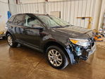 Ford Edge 2013