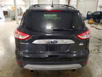 Ford Escape 2013
