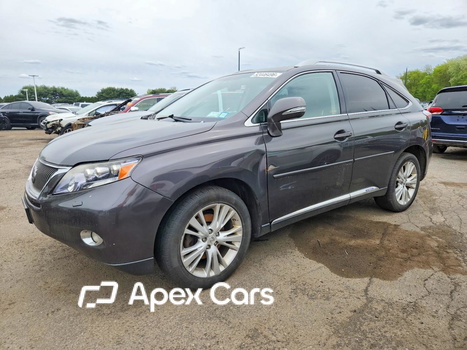 Lexus RX 2010 - Image 1 of 13