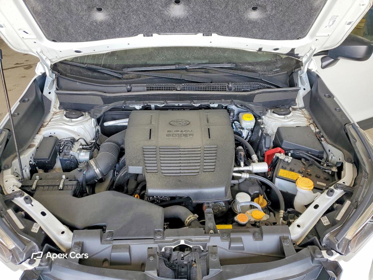 Subaru Forester 2024