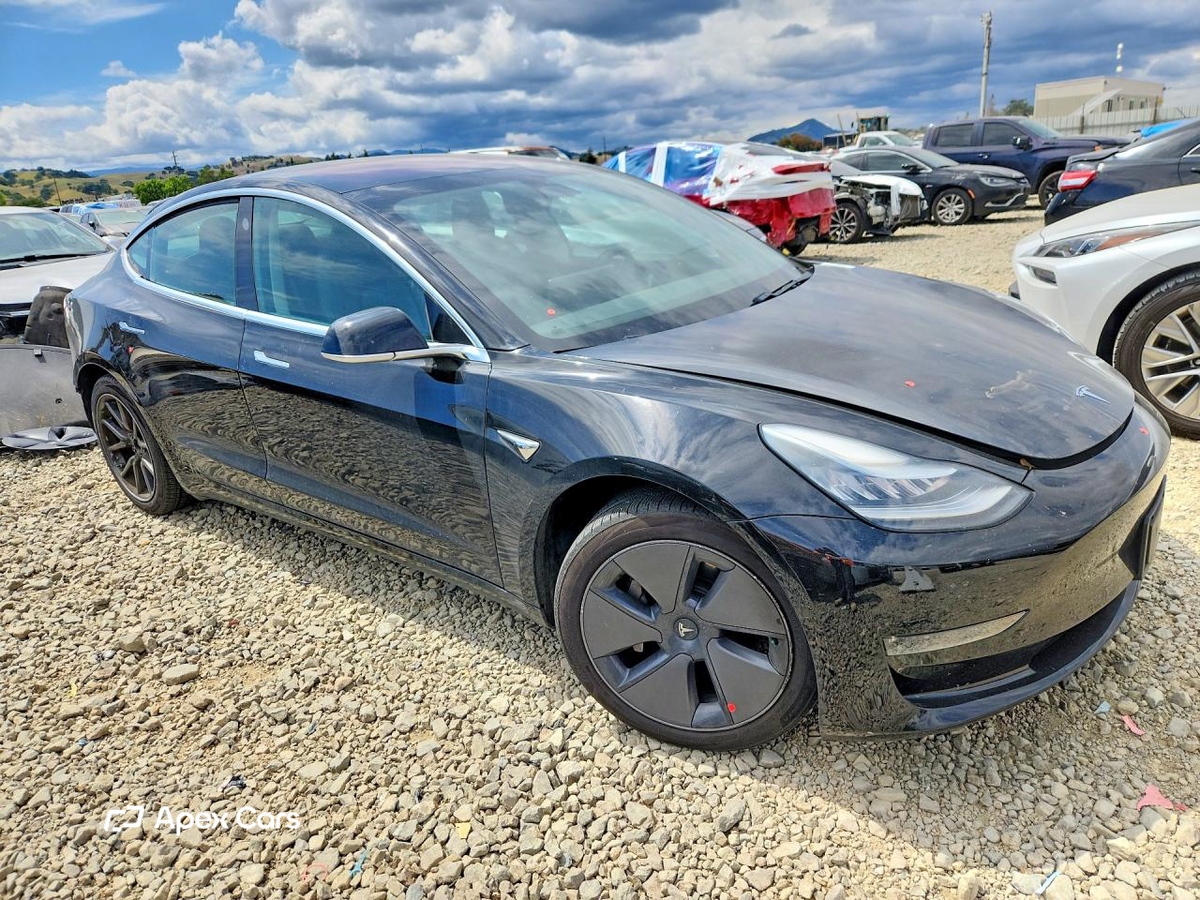 Tesla Model 3 2019