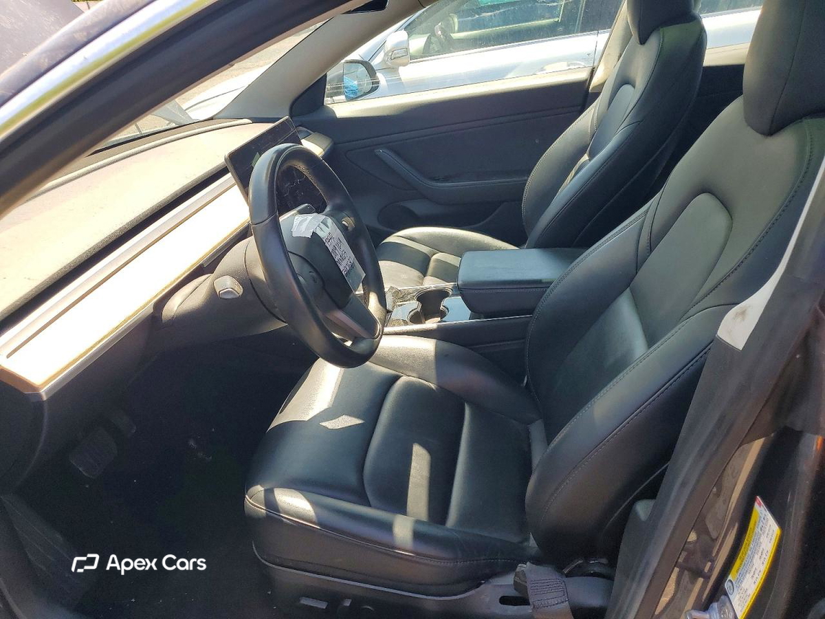 Tesla Model 3 2019