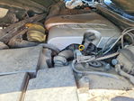 Lexus LS 2005