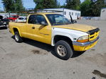 Dodge Dakota 2000