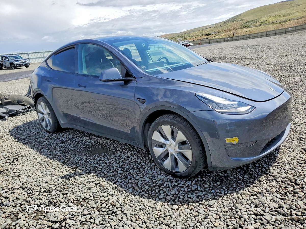 Tesla Model Y 2021