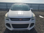 Ford Escape 2013