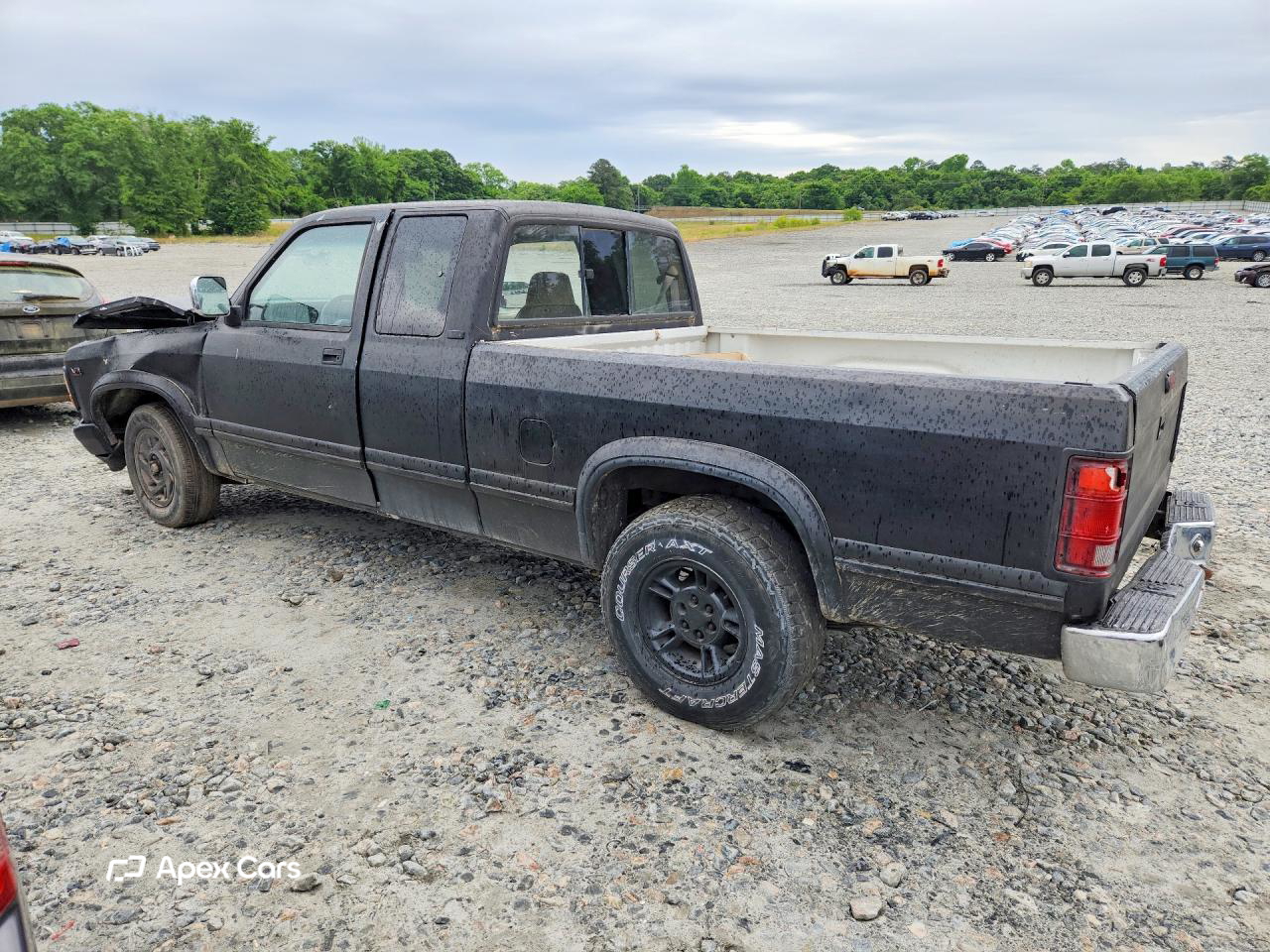 Dodge Dakota 1996