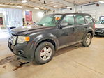 Ford Escape 2011