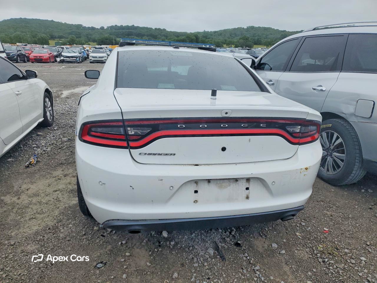 Dodge Charger 2021