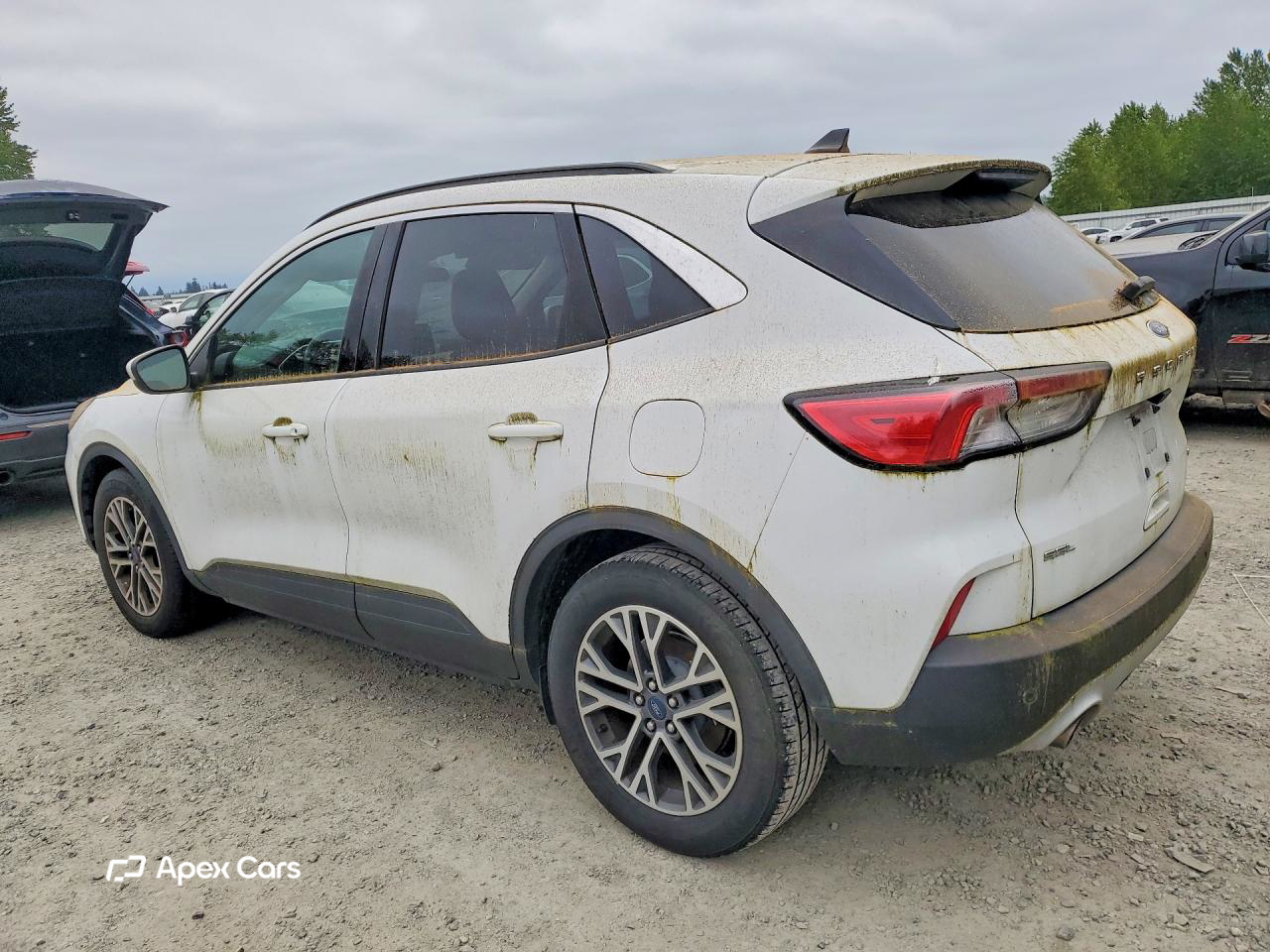 Ford Escape 2020