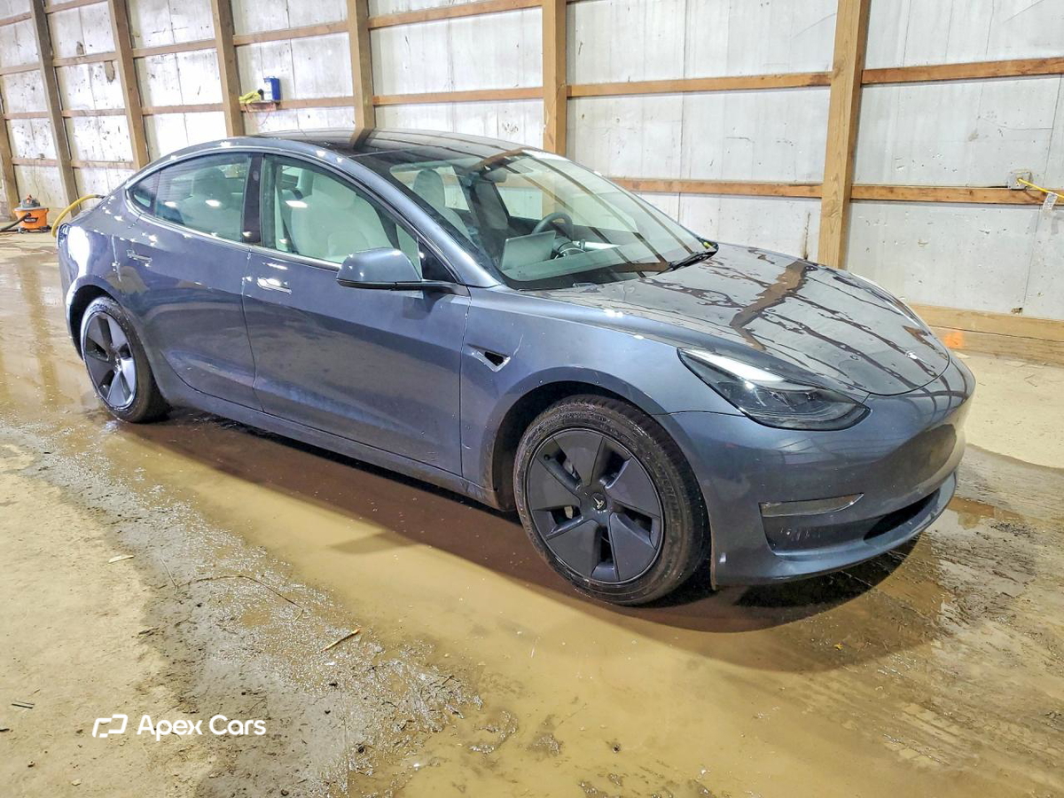 Tesla Model 3 2022
