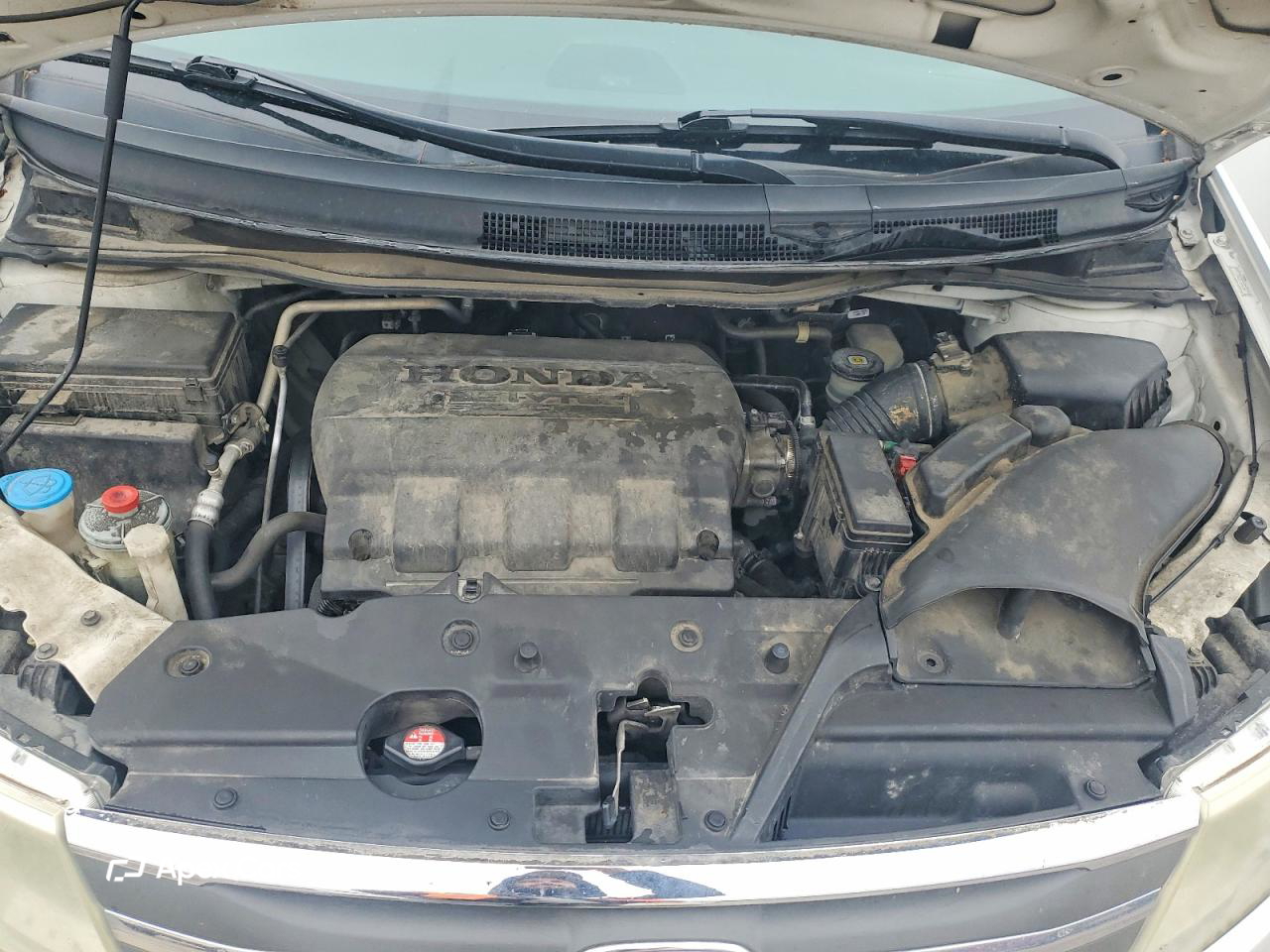 Honda Odyssey 2011