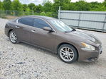 Nissan Maxima 2013