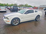 Ford Mustang 2006