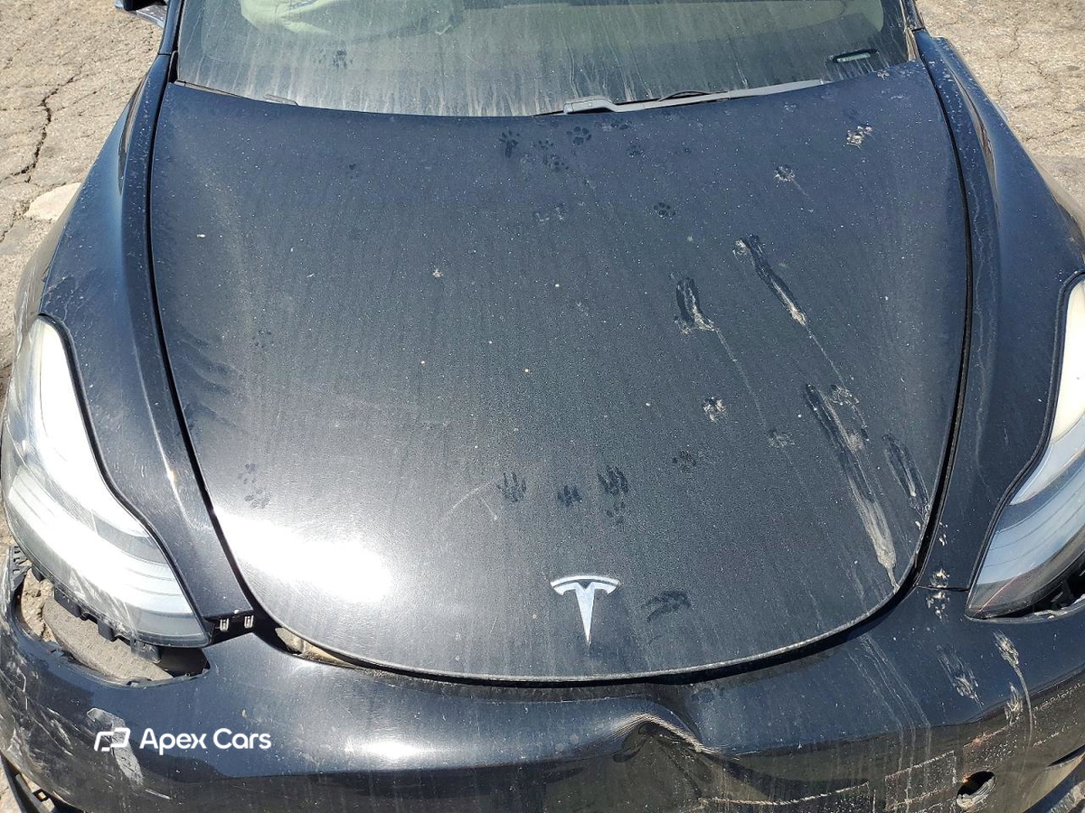 Tesla Model 3 2019