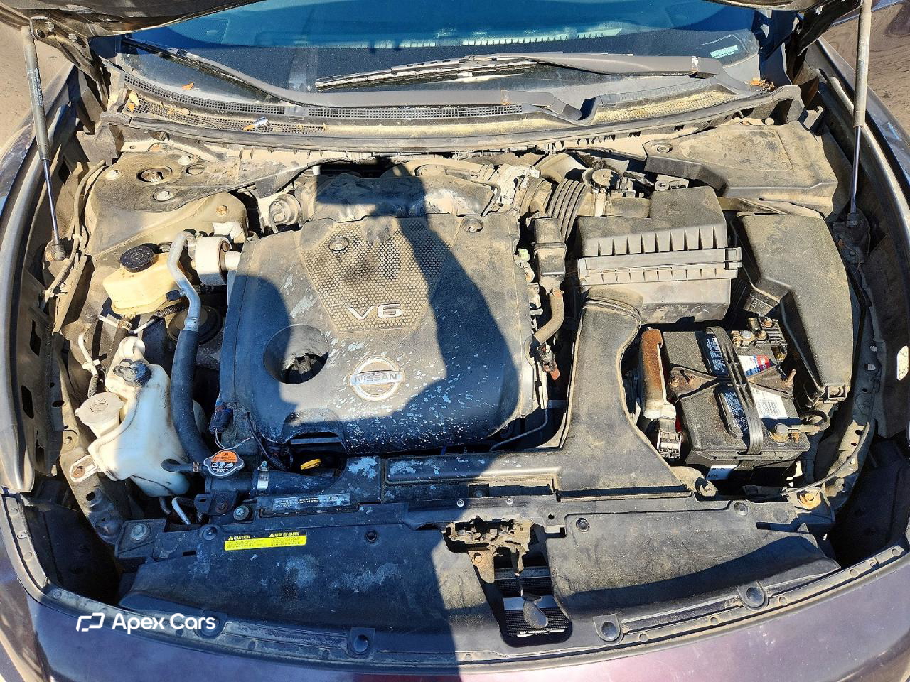Nissan Maxima 2010