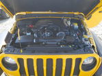 Jeep Wrangler 2021