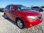 Lexus RX 2010