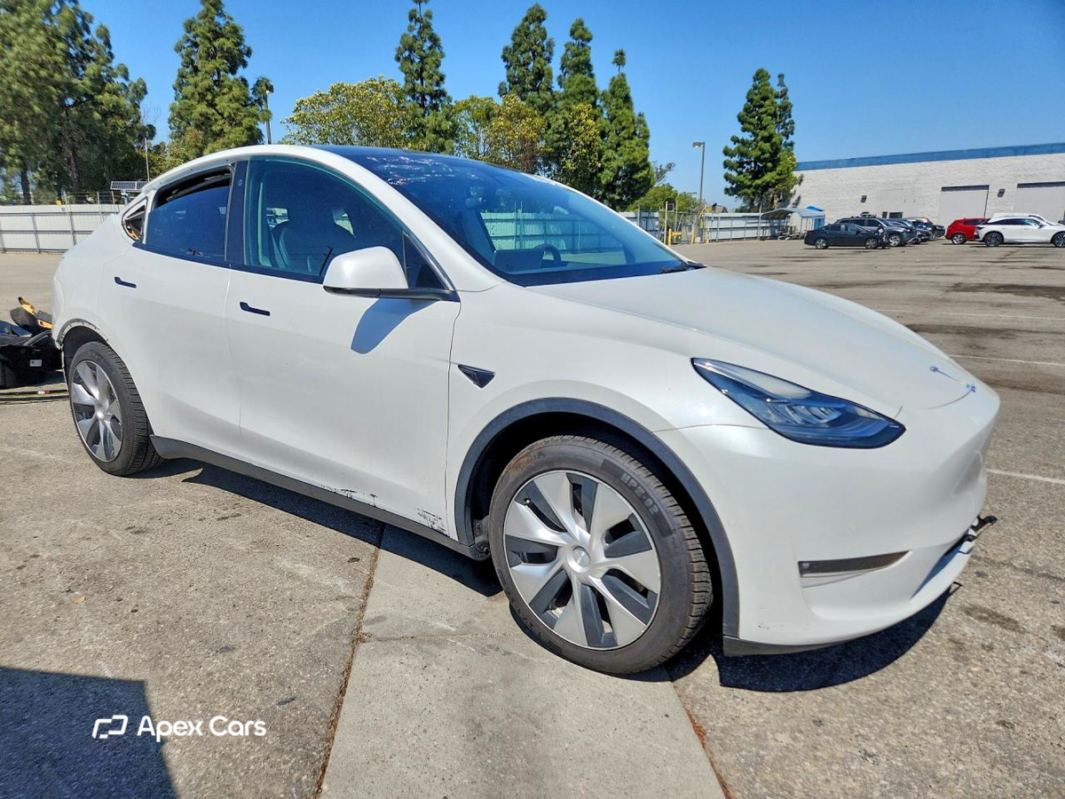 Tesla Model Y 2021