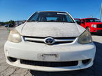 Toyota Echo 2003