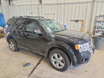Ford Escape 2011