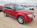 Ford Escape 2012
