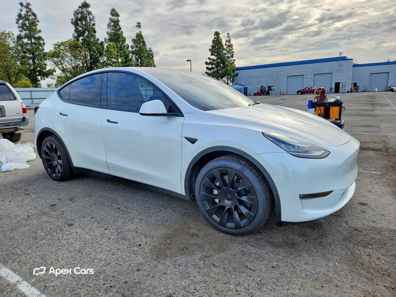 Tesla Model Y 2021