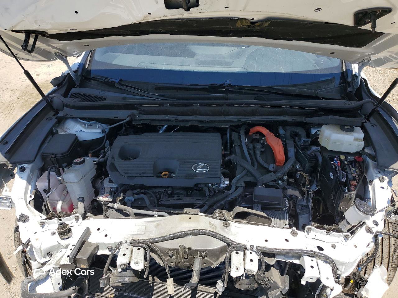 Lexus RX 2024