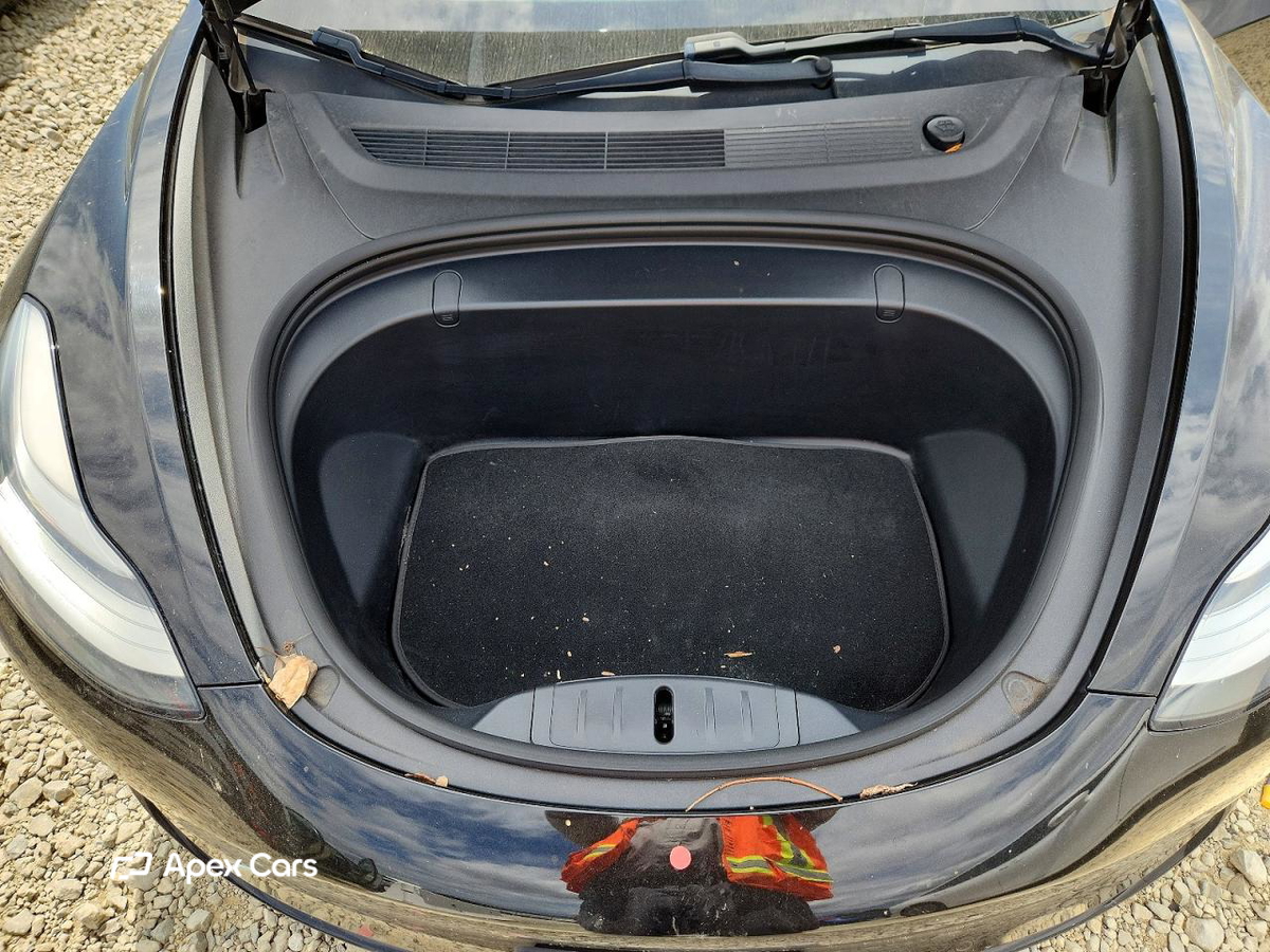 Tesla Model 3 2019