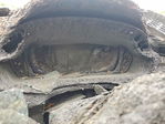 Audi Q3 2025