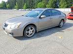 Nissan Maxima 2007
