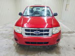 Ford Escape 2008