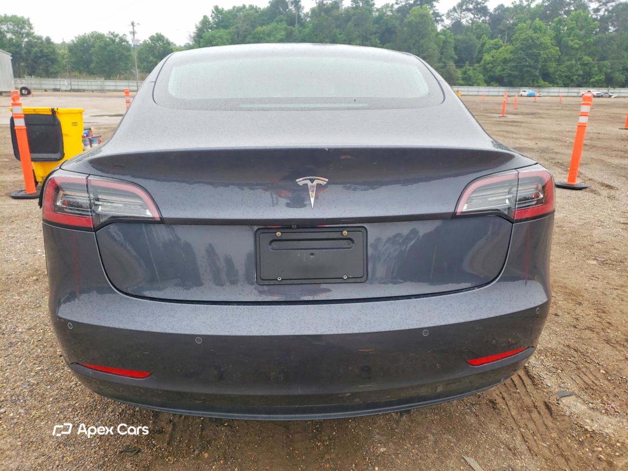 Tesla Model 3 2019