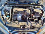 Honda Accord 2013