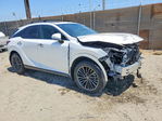 Lexus RX 2024