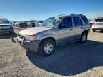 Ford Escape 2001