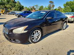 Nissan Maxima 2010