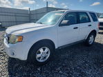 Ford Escape 2009
