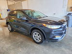 Ford Escape 2025
