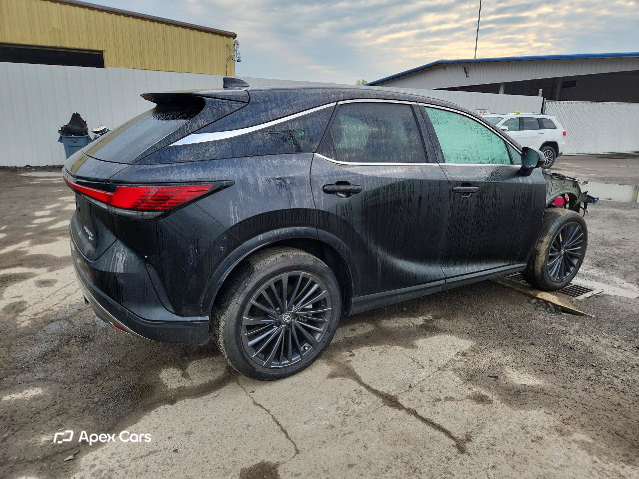Lexus RX 2025