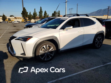Lexus UX 2019 - Zdjęcie 1 z 14