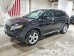 Lexus RX 2010