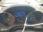 Ford Escape 2013