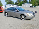 Nissan Maxima 2007